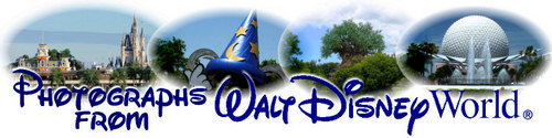Photographs From Walt Disney World